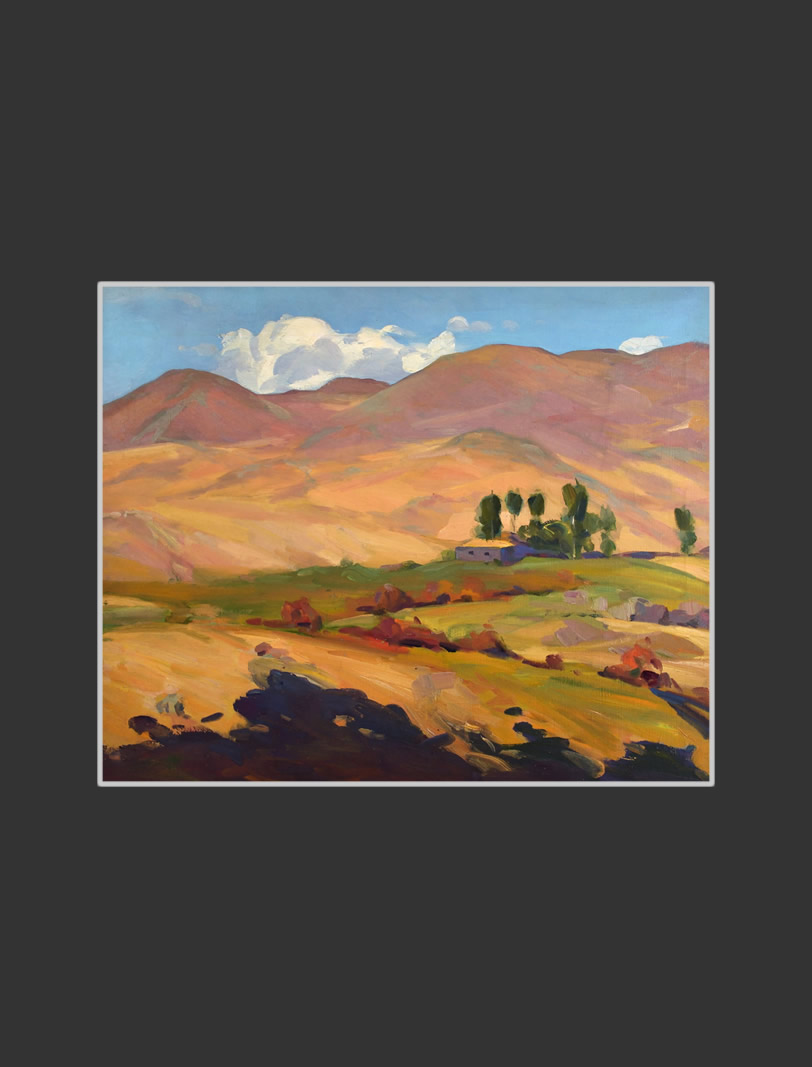 View from Agbash village50 x 60 cm, Oil on Canvas, 1960-1962