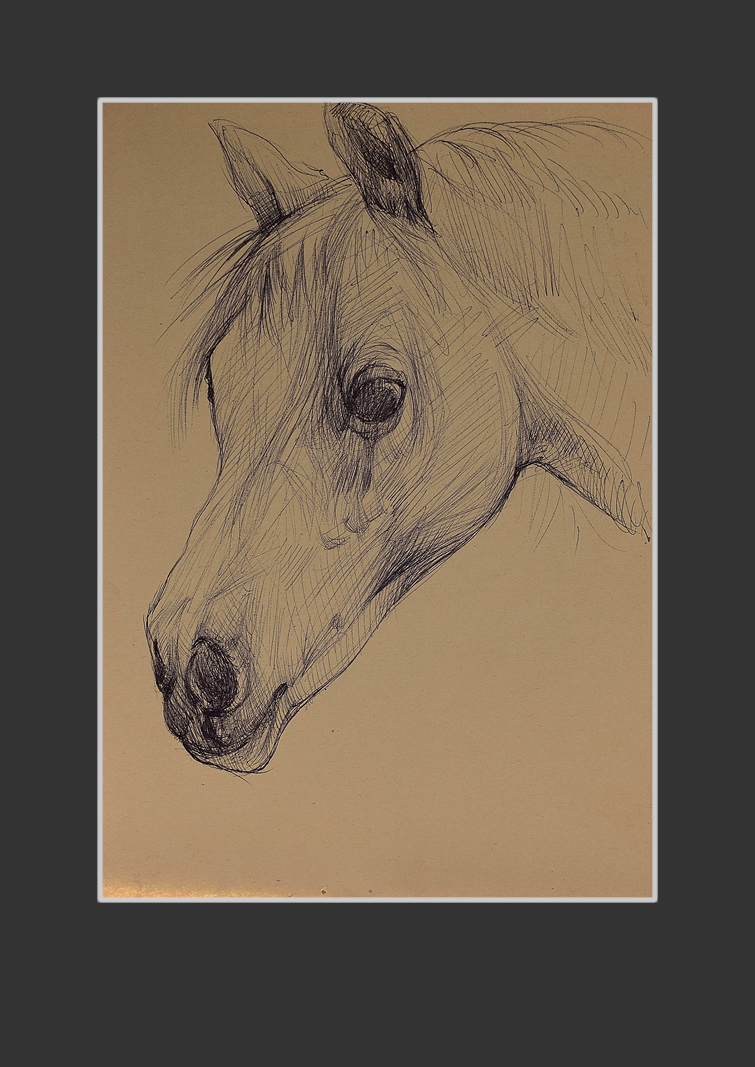 Notepad30,5 х 20,5 cm, Paper, Pen