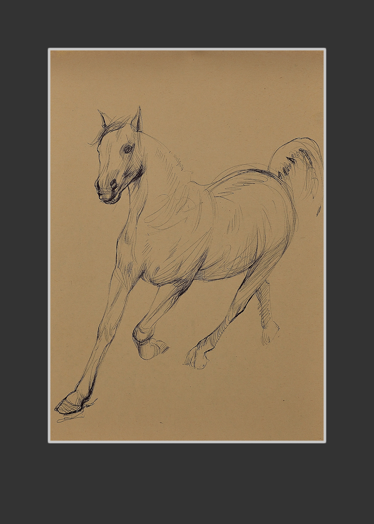 Notepad30,5 х 20,5 cm, Paper, Pen