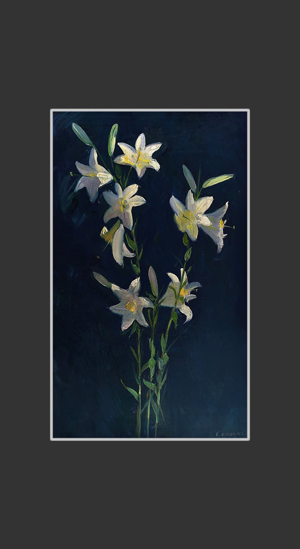 Lilies64 x 39 cm, Oil on Canvas, 1974